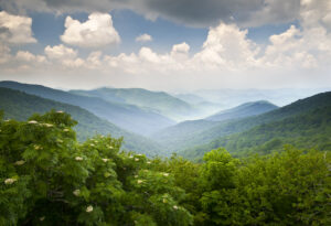 vistas in Ashe County NC