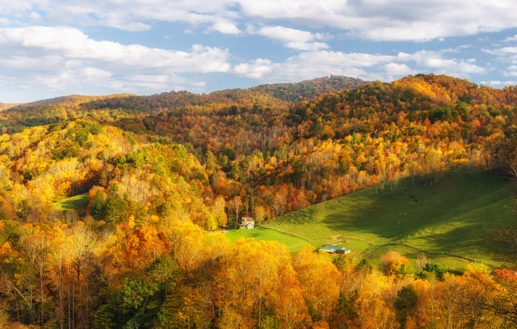 back,country,road,farm,near,valle,crucis,in,autumn,north