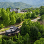 Homes for Sale in Linville NC