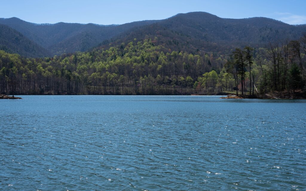 peaceful,,early,spring,morning,view,of,pond,mountain,across,watauga